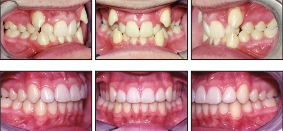 White Roots Dental Clinic